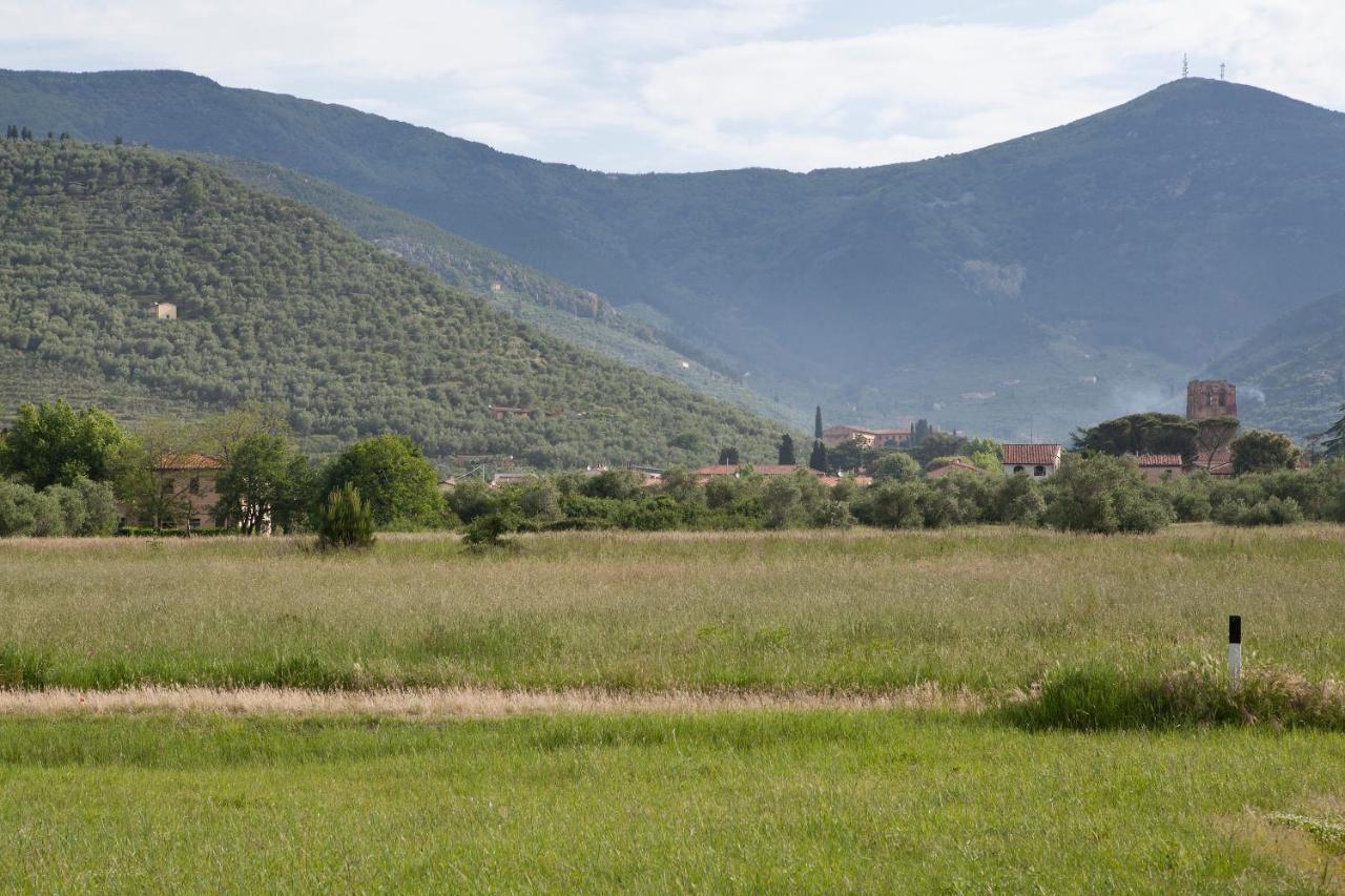Agriturismo Villa Rosselmini Calci Buitenkant foto