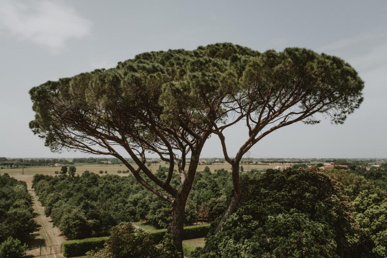 Agriturismo Villa Rosselmini Calci Buitenkant foto